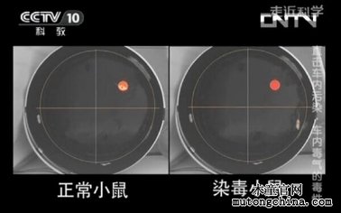 武汉市嘉净鸿环保科技有限公司