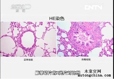 武汉市嘉净鸿环保科技有限公司